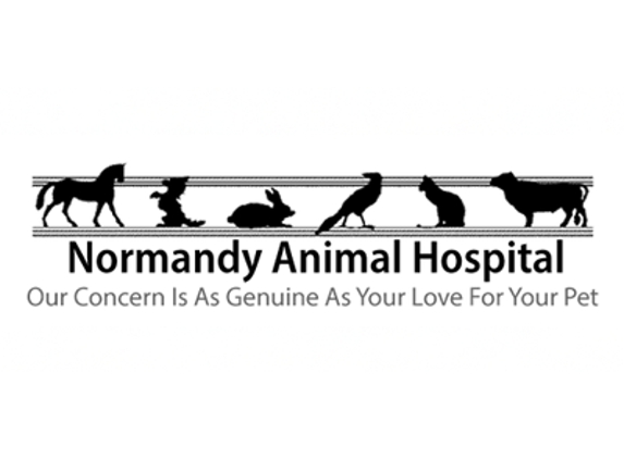 Normandy Animal Hospital Inc - Saint Louis, MO