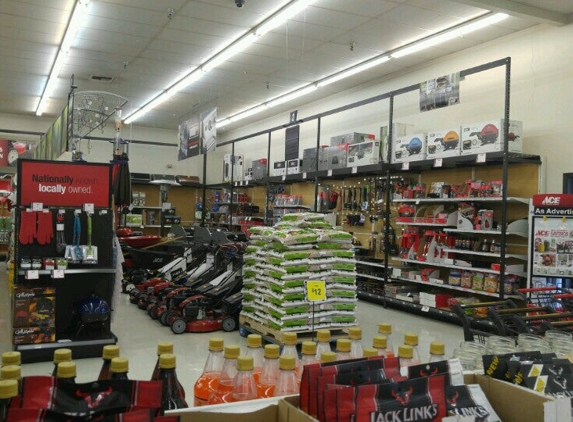 Len's  Ace Hardware - Buffalo Grove, IL