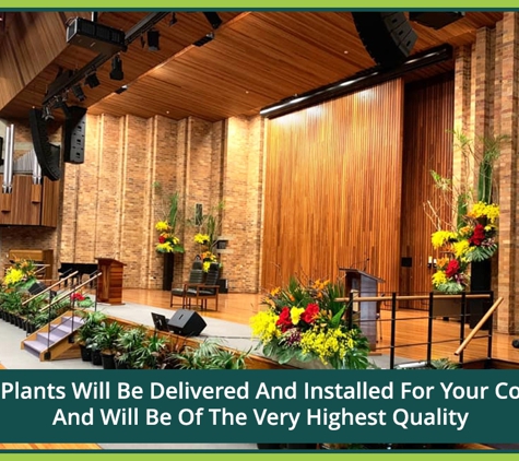 Jindalee Indoor Plant Service - Edgeworth, NSW. All Of Our Plants Will Be Delivered And Installed For Your Convenience And Will Be Of The Very Highest Quality
