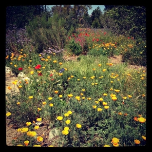 Arlington Garden in Pasadena - Pasadena, CA