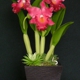 ClayFlowerShop.com