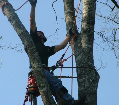 Montgomery Inc Tree Service - Macon, GA