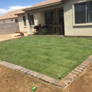Reparo Landscaping - Construction Site-Clean-Up