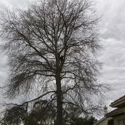 Gallery Image Number 3