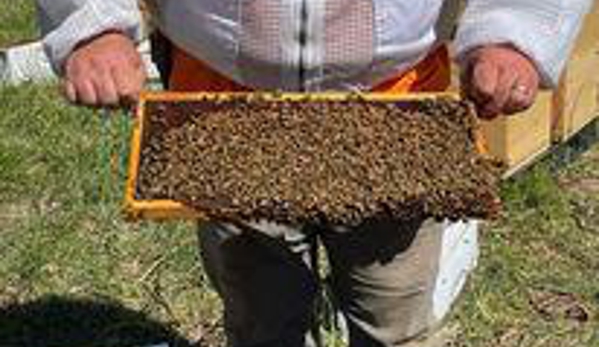 Dry Ridge Bee Supply - Weaverville, NC