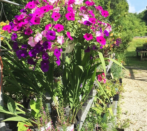 Sunset Plantland & Nursery - Saint Louis, MO