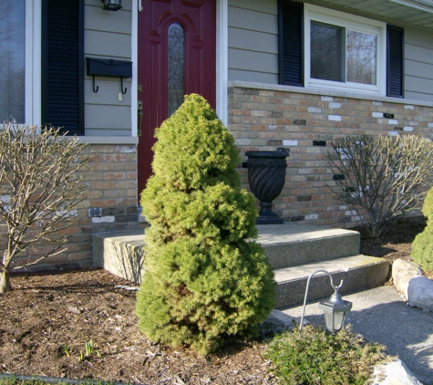 Fresh Cut Lawn/Shrub Care - Mount Pleasant, MI