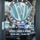 Pita Jungle - Scottsdale Shea