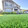 Beyond Grass gallery