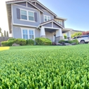Beyond Grass - Landscape Designers & Consultants