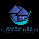 Blanca Pro Cleaning Service - House Cleaning