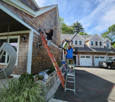 Canton Wildlife Removal - Canton, MA