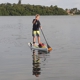 Sarasota paddleboard company