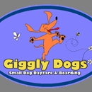 Giggly Dogs Small Dog Daycare & Boarding - Pet Boarding & Kennels