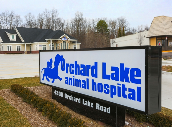 Orchard Lake Animal Hospital - West Bloomfield, MI