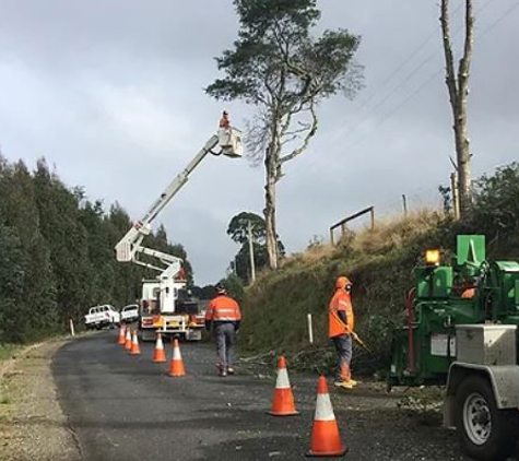 A1 Tree Specialists - Tarleton, TAS