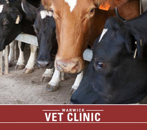 Allora Veterinary Clinic - Allora, QLD