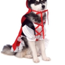 Costume Boutique