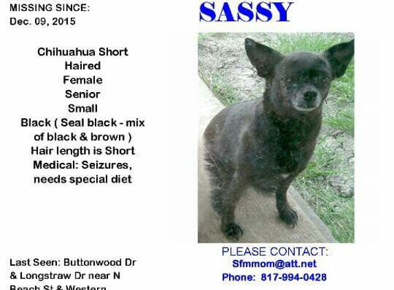 Haltom City Animal Control - Haltom City, TX. PLEASE HELP FIND SASSY !!!