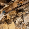 Nichols Pest Control gallery