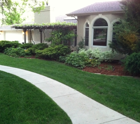 Creation Landscaping Services - Lafayette, CO