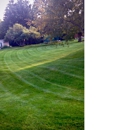 ML Lawn Care - Landscaping & Lawn Services