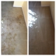 Custom Carpet Cleaning