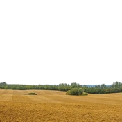 Gallery Image Number 2