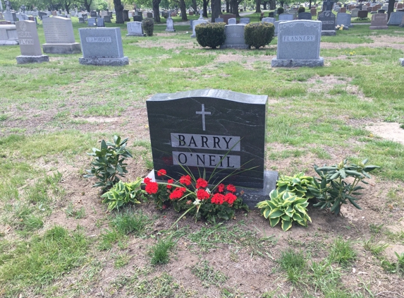 St Patrick's Cemetery - Lowell, MA