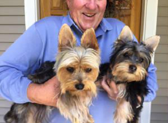 Silky Terriers From The Heartland - Waterville, KS