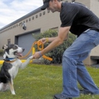 F.I.D.O.  Finishing Institute for Dog Ownership