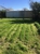 7 Day Gardens - Lawn Maintenance
