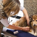 Mendocino Animal Hospital - Pet Services