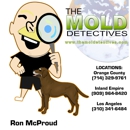 Mold Detective - Real Estate Inspection Service