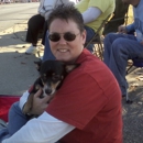 Cozy Comforts Pets & More