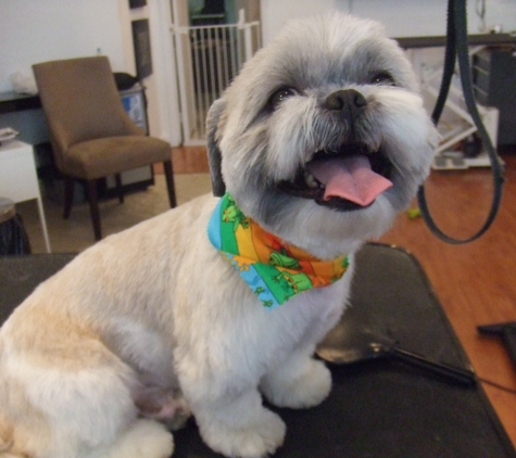 Miami Doggy Style, Pet Grooming Salon and Day Care - Miami, FL