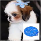 The Shih Tzu Collection