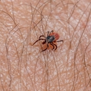Russell Mosquito Control - Pest Control Equipment & Supplies
