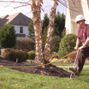 Sun Lawn Tree & Shrub - Tree Service