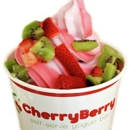 CherryBerry Frozen Yogurt Bar - Party & Event Planners