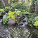 Pond Wiser Inc - Water Gardens