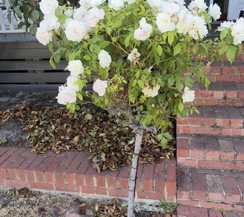 Westy Kid Gardening - Albanvale, VIC