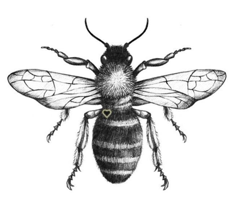 AA Native Wildlife Removal, Bee Removal & Pest Removal - Homestead, FL