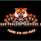 Tiger Process Services