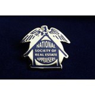 The National Society of Real Estate Appraisers
