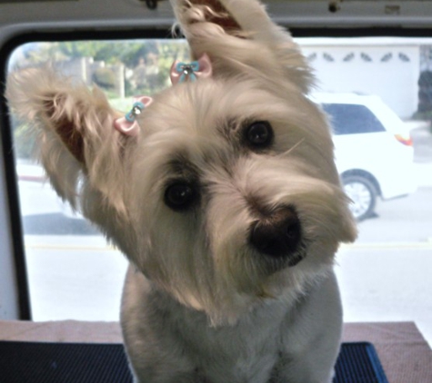Fritzy's Pet Care Pros - Oceanside, CA