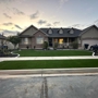 Purchase Green Artificial Grass