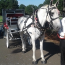 Horse&Carriage, Ltd. - Horse & Carriage-Rental