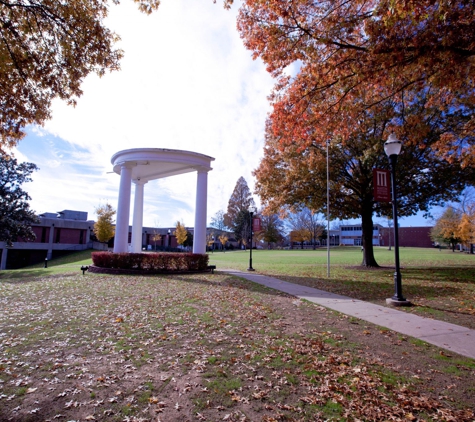 Martin Methodist College - Pulaski, TN