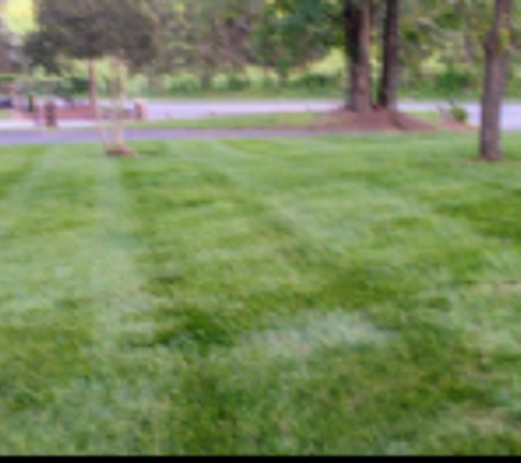 Southern scapes lawn care - Riceville, TN